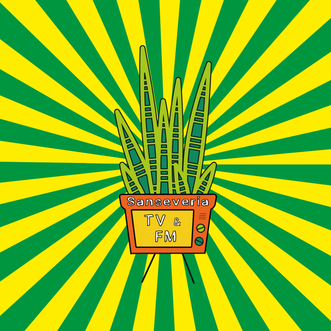 Sanseveria Tv