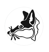 Schermafbeelding 2026-01-26 172610